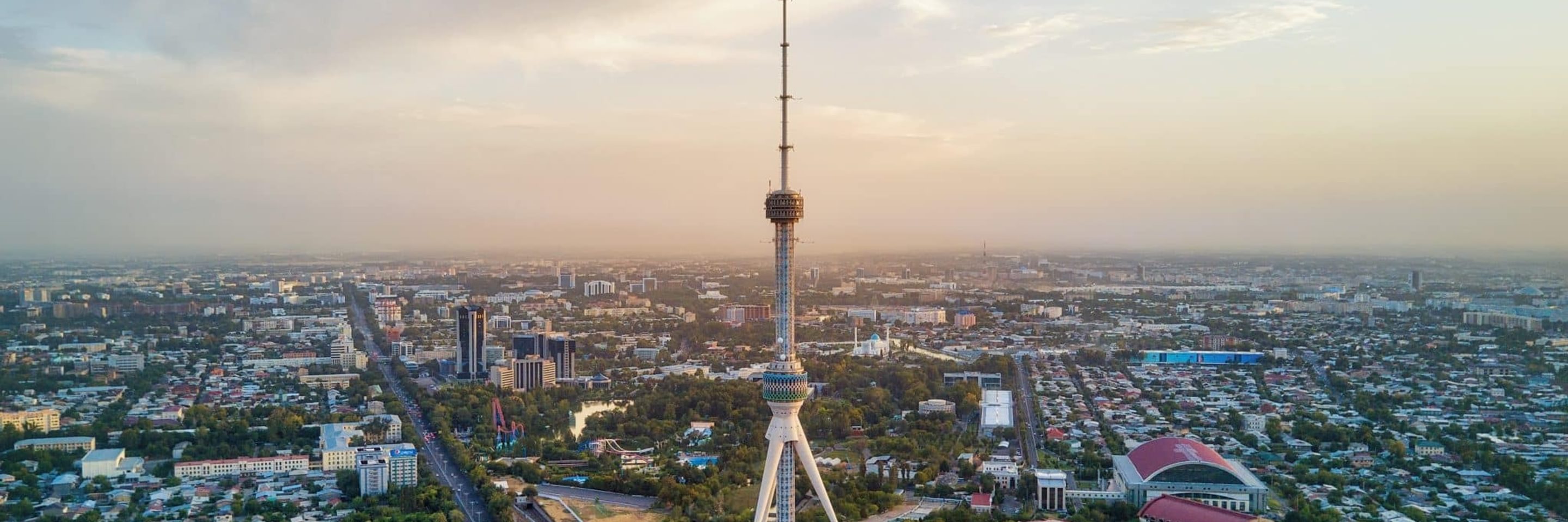 Adobe Stock 221903191 scaled