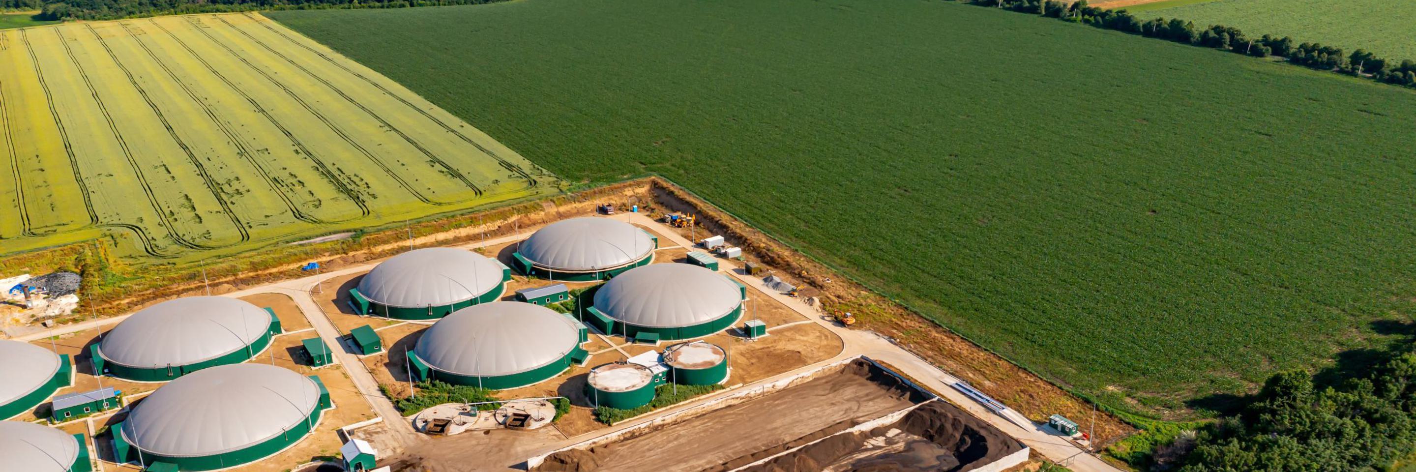 Adobe Stock 450366365