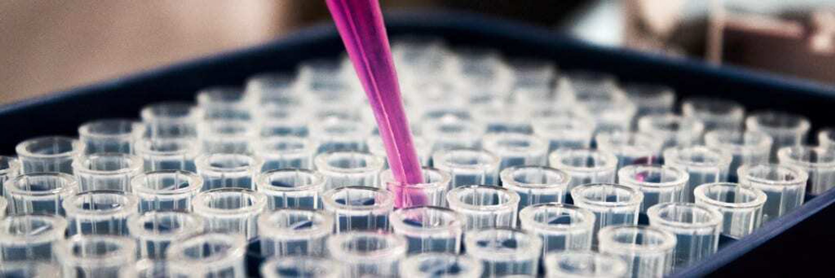 Louis reed pwc KF7 L4 no unsplash cropped