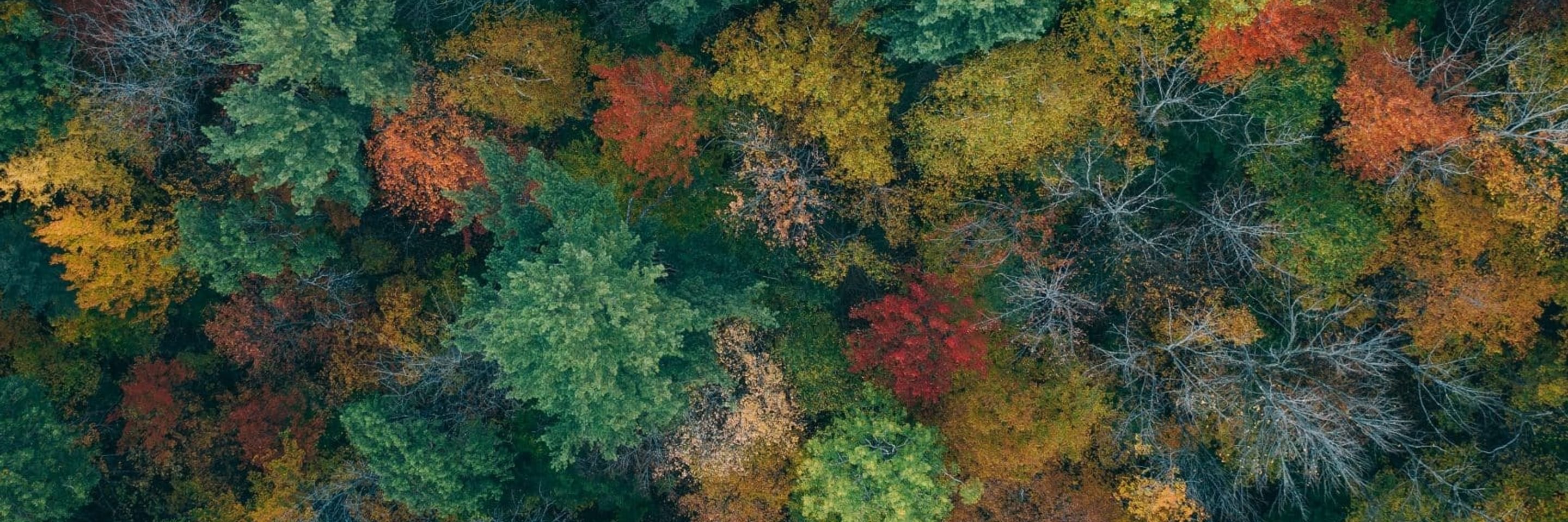 Martin sanchez ML6k HR Uys unsplash scaled
