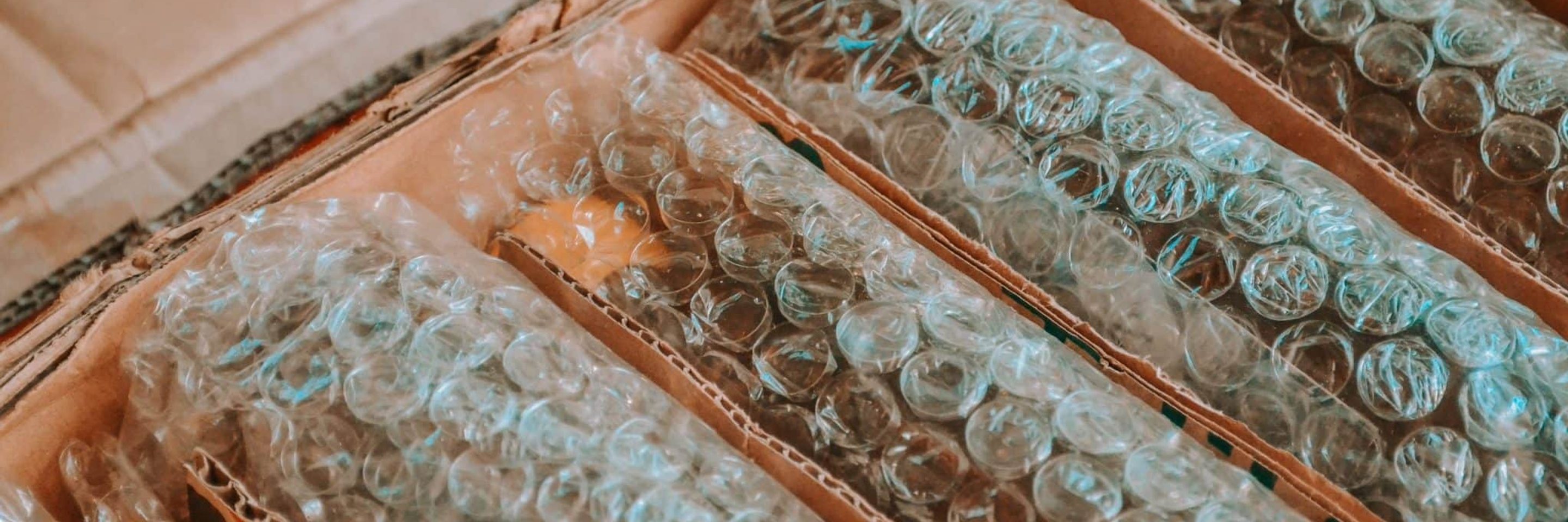 Wander fleur pd FLN Mu Muzk unsplash scaled