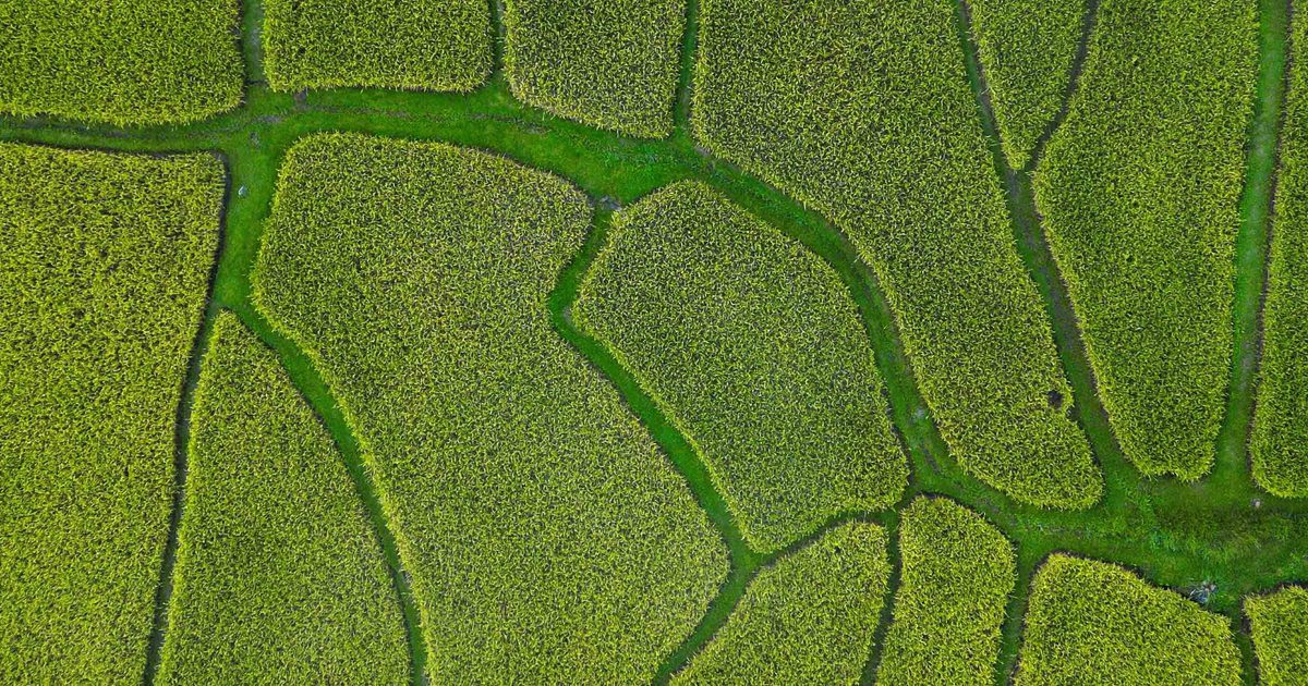 Baker Tilly Canada | Intergenerational farm rollovers