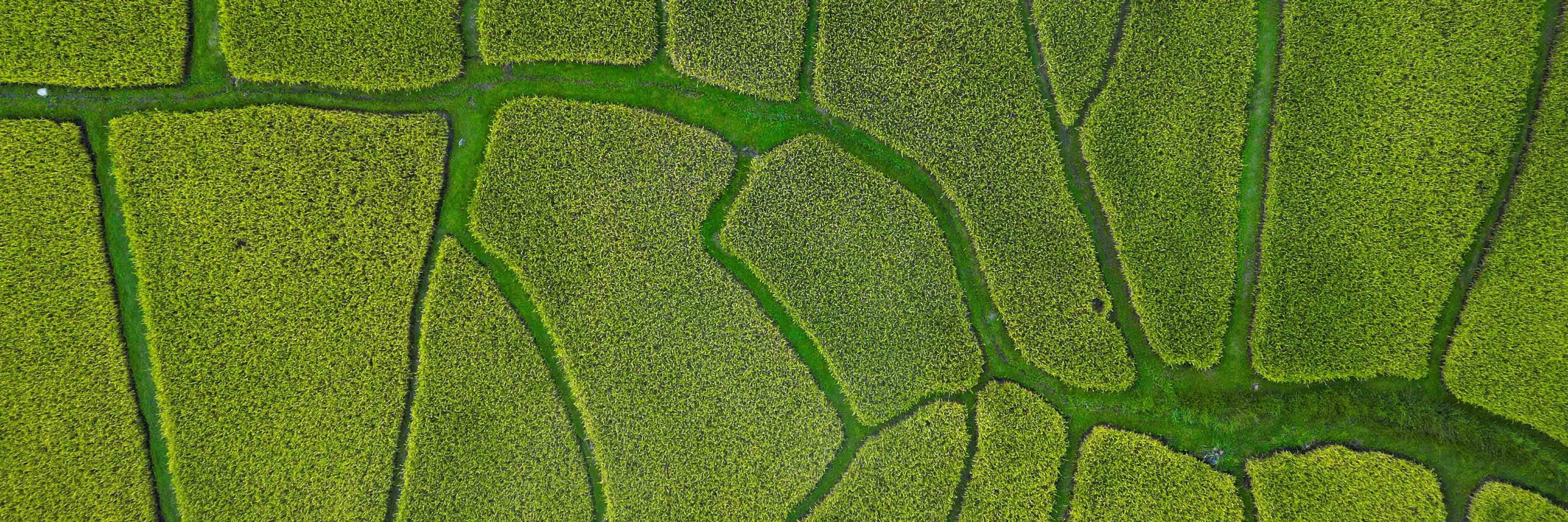 Farm alert Adobe Stock 542092569