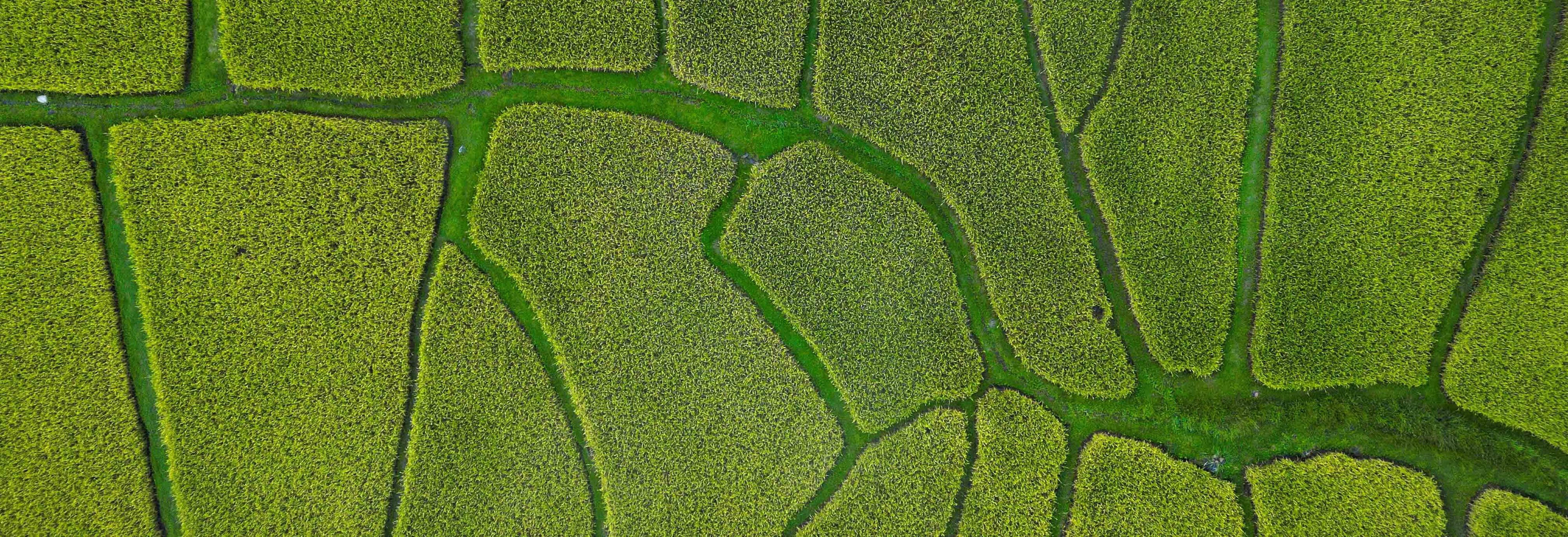 Baker Tilly Canada | Intergenerational farm rollovers