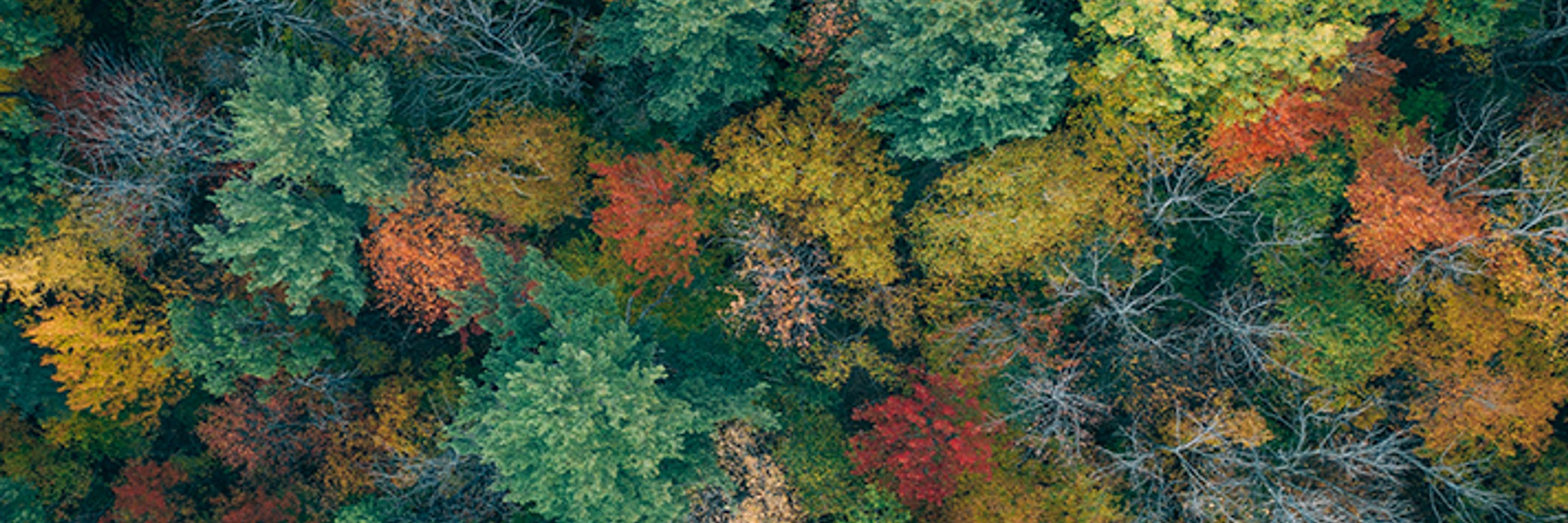 News- Baker Tilly International to separate member firms in Russia and Belarus