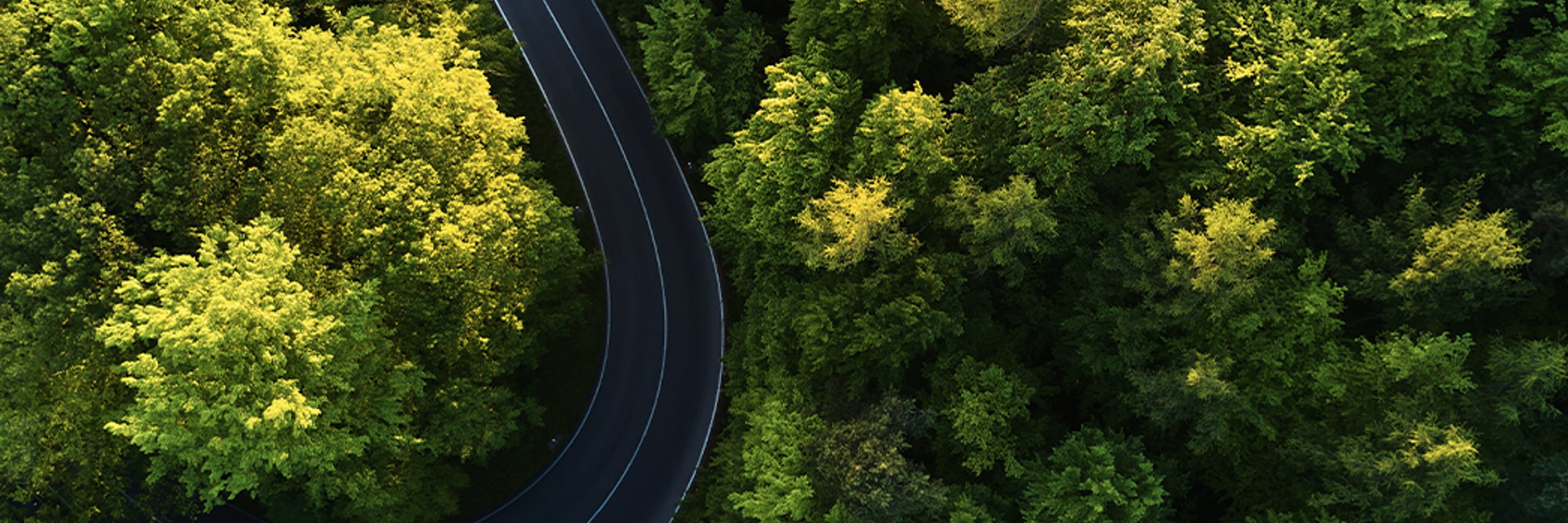 Publications-Sourcing and closing better deals with PitchBook