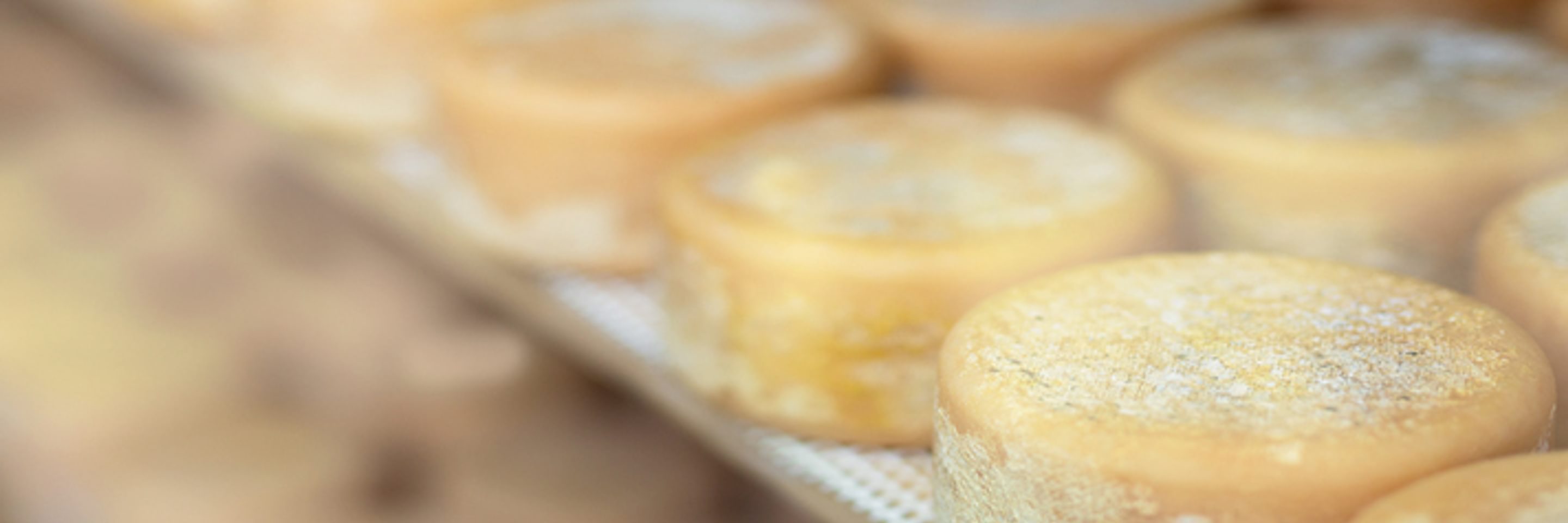 News-BT Corporate Finance advises Galati Cheese on acquisition