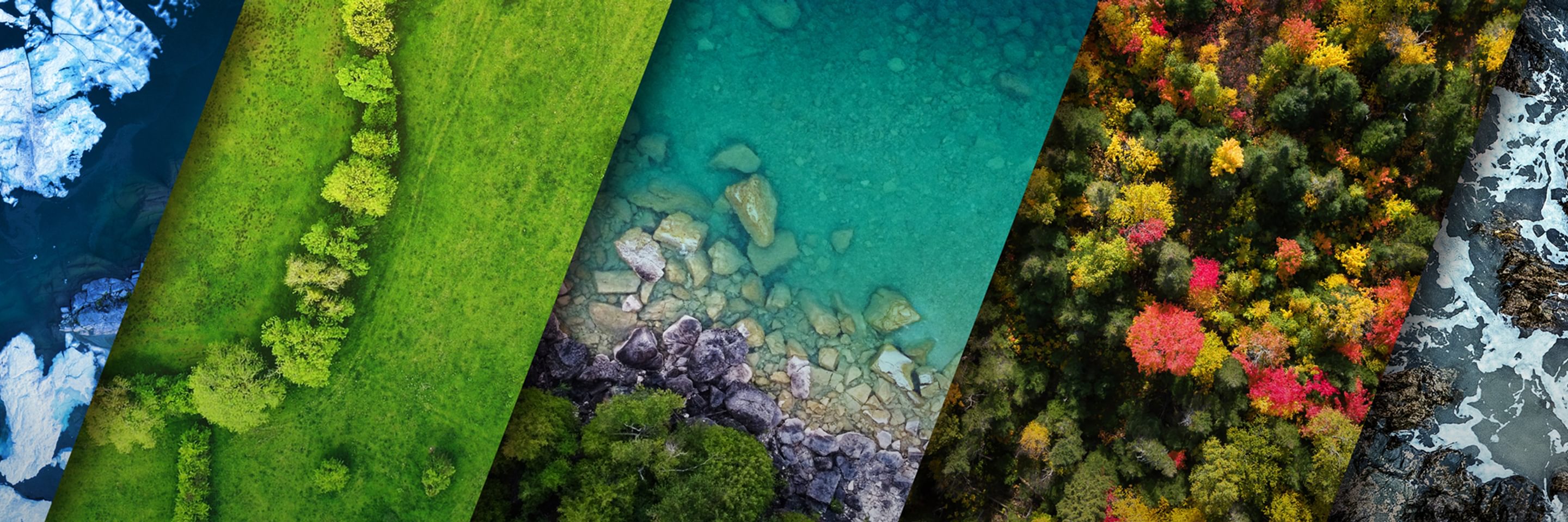 https://bti-global.transforms.svdcdn.com/production/network/canada/images/Publication/Budget-watch/25114.02_W_BTC_Fed_Budget_Program_Land_Page_Pre-Bud_Banner_DL_v1_FINAL.jpg?w=2880&h=960&q=75&auto=format&fit=crop&dm=1743687007&s=576bf51c45994b076700b5cc8fb2277e