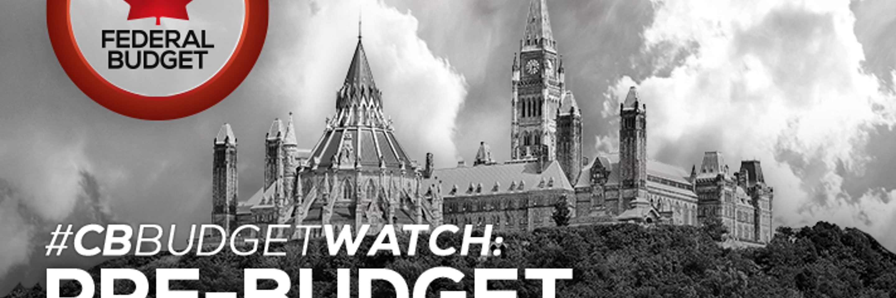 Federal budget 2017-Prebudget commentary