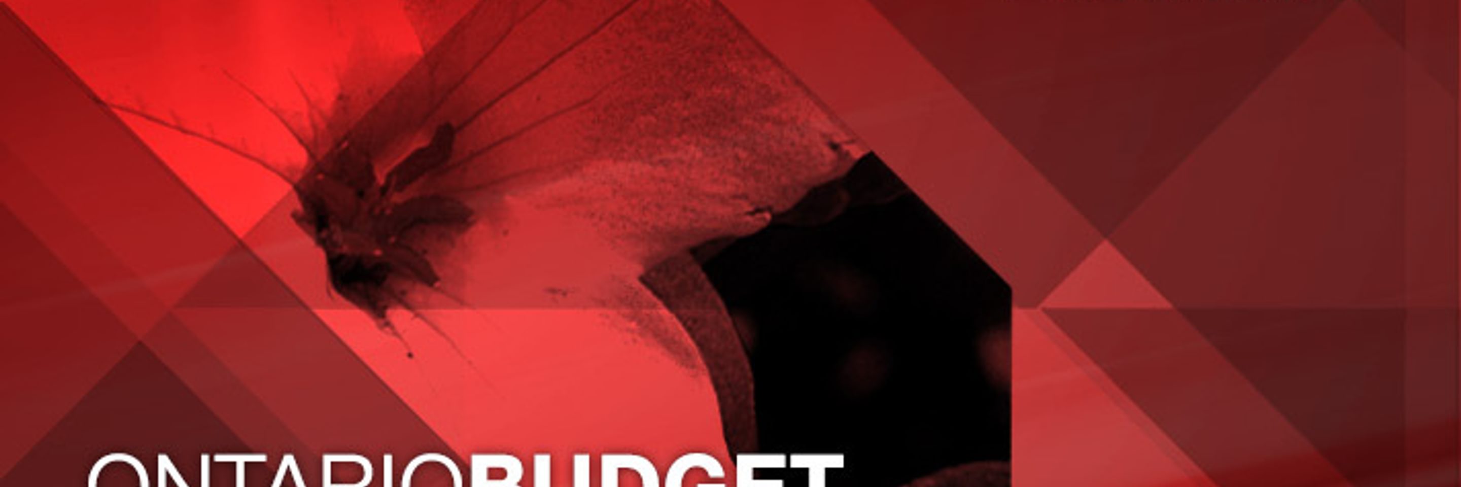 ON Budget commentary-Collins Barrow