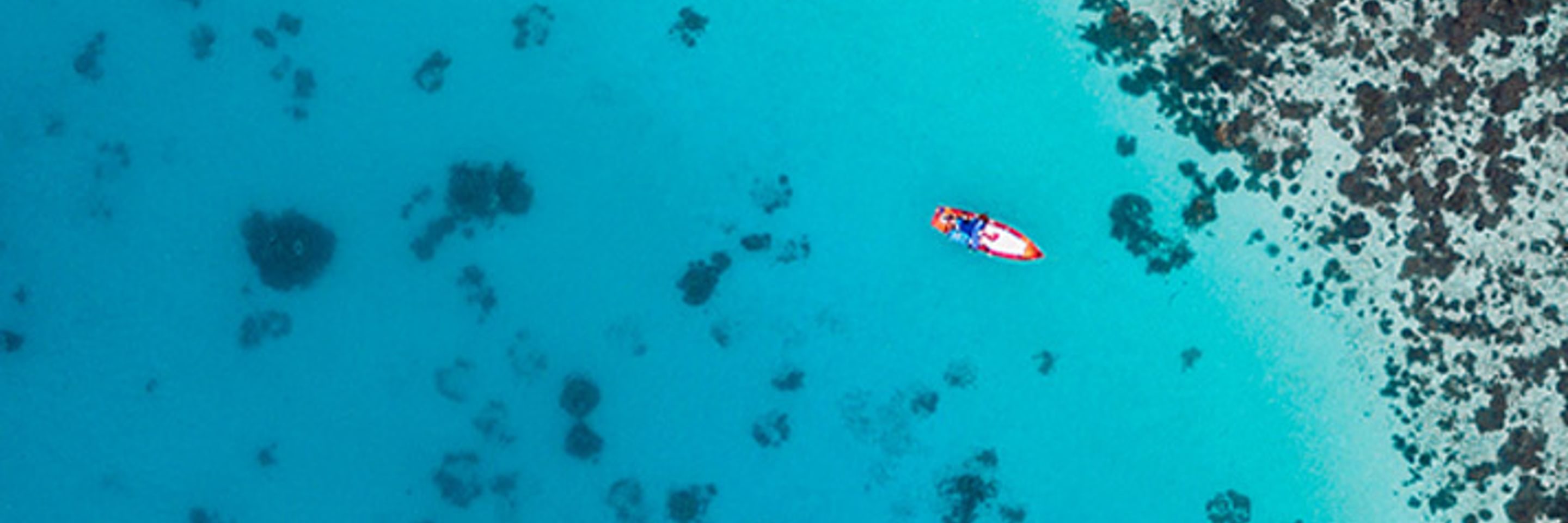 Publications-Global dealmakers: The cross-border M&A outlook for 2019 and beyond