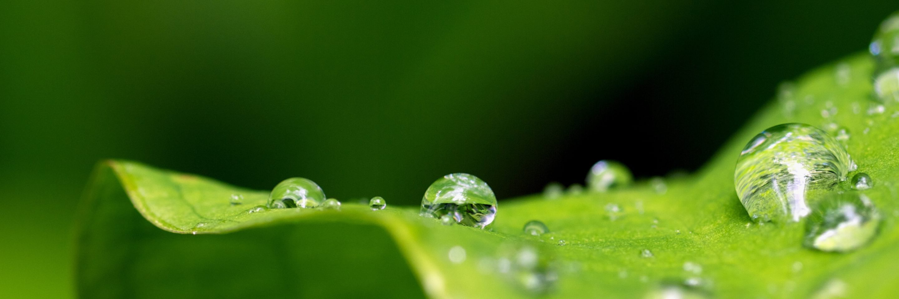 2024 tax deadline calendar Adobe Stock 38310181