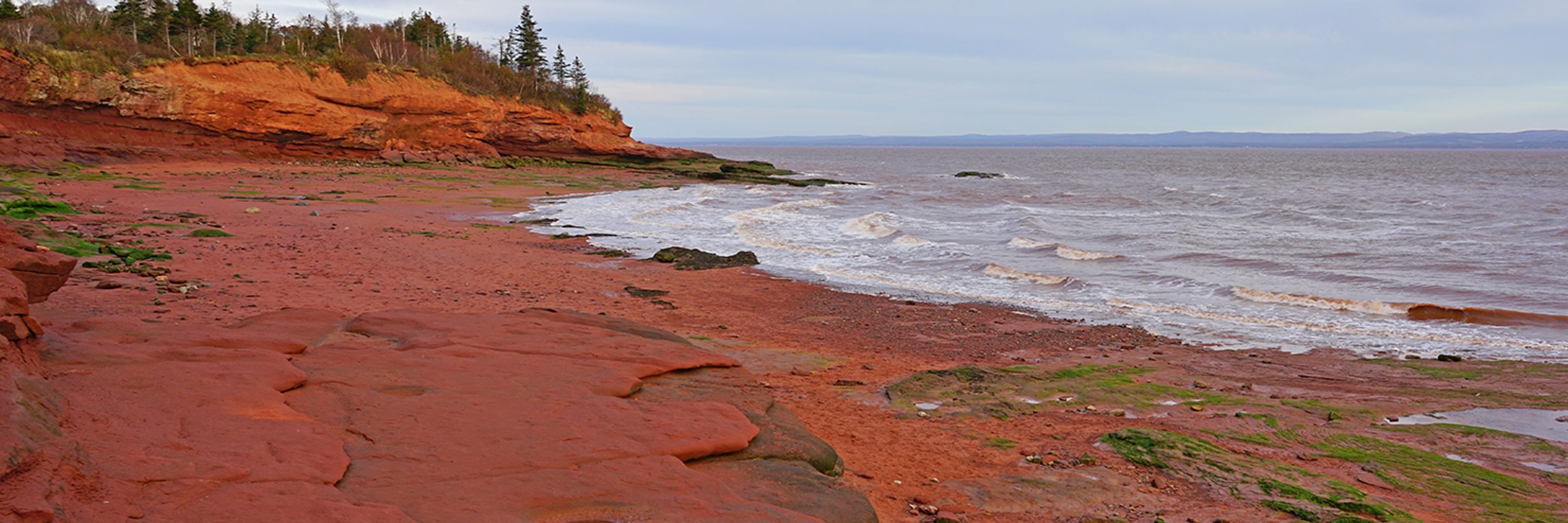 Adobe Stock 295861837 cropped