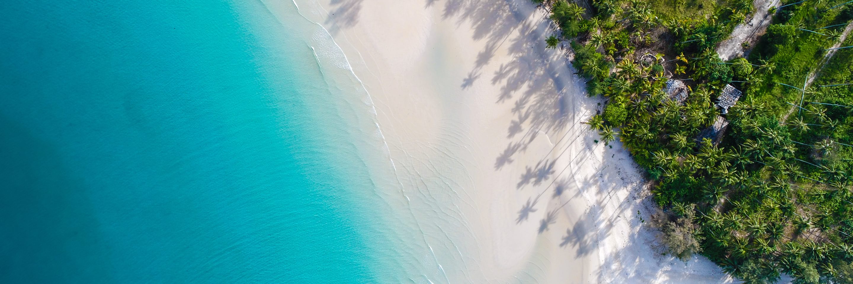 Adobe Stock 254608953