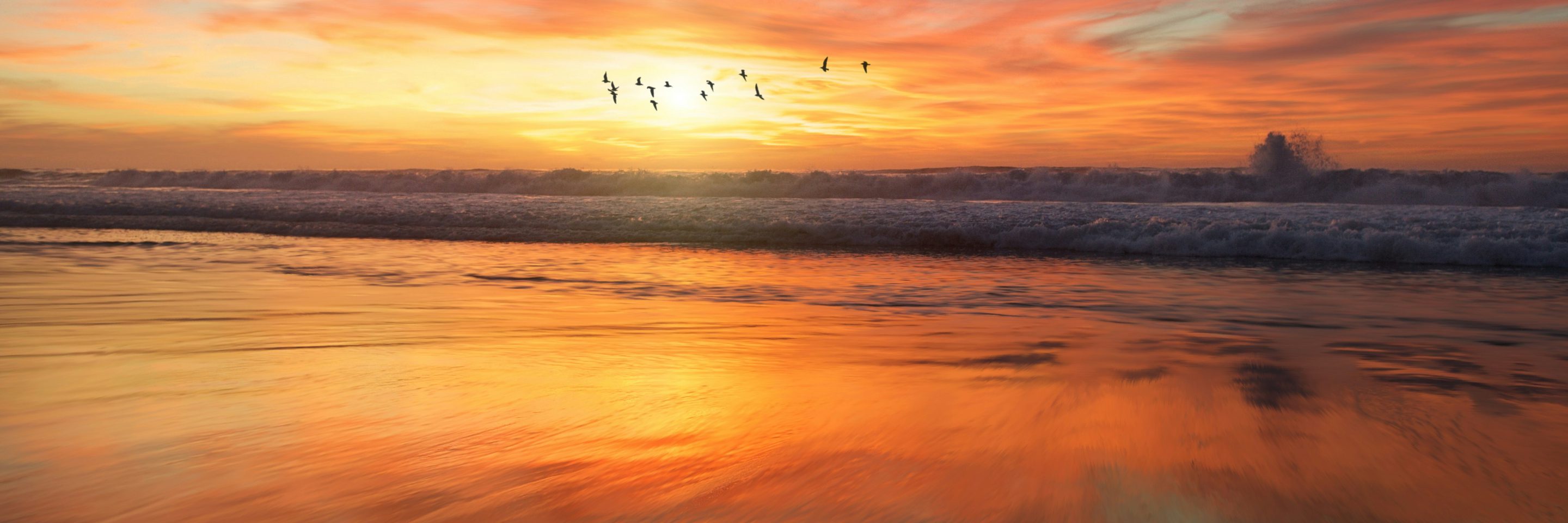 Frank mckenna 4 V8 Jxijg Z c unsplash