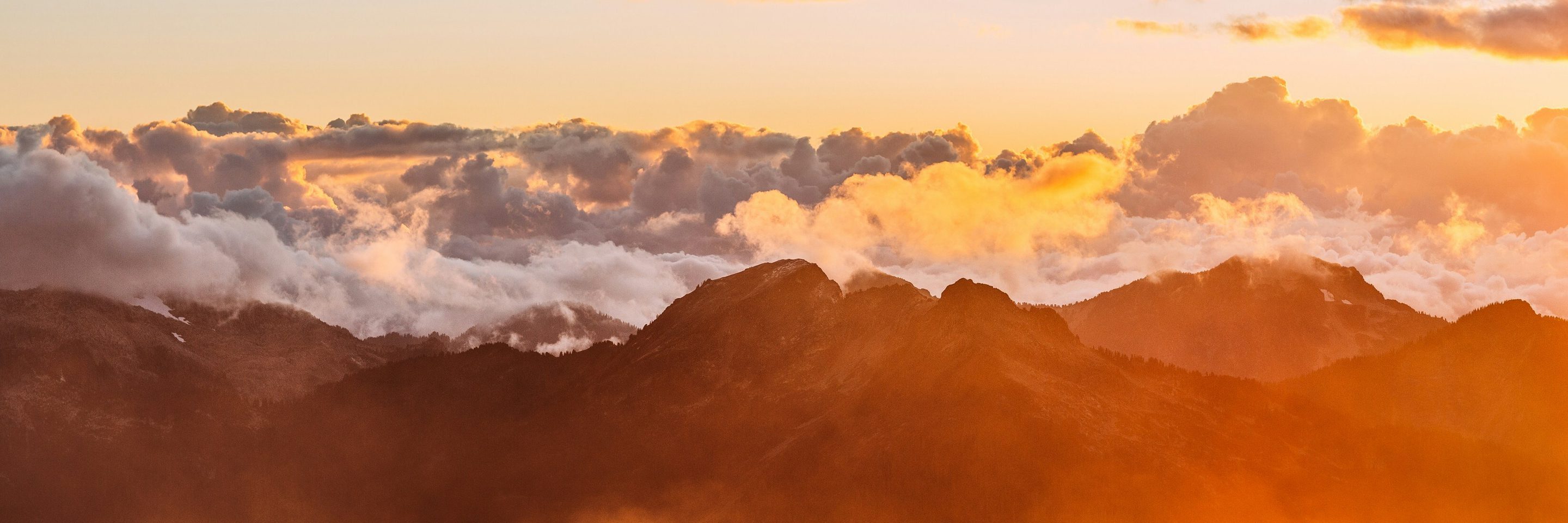 Nitish meena Rbbdz ZBKRDY unsplash