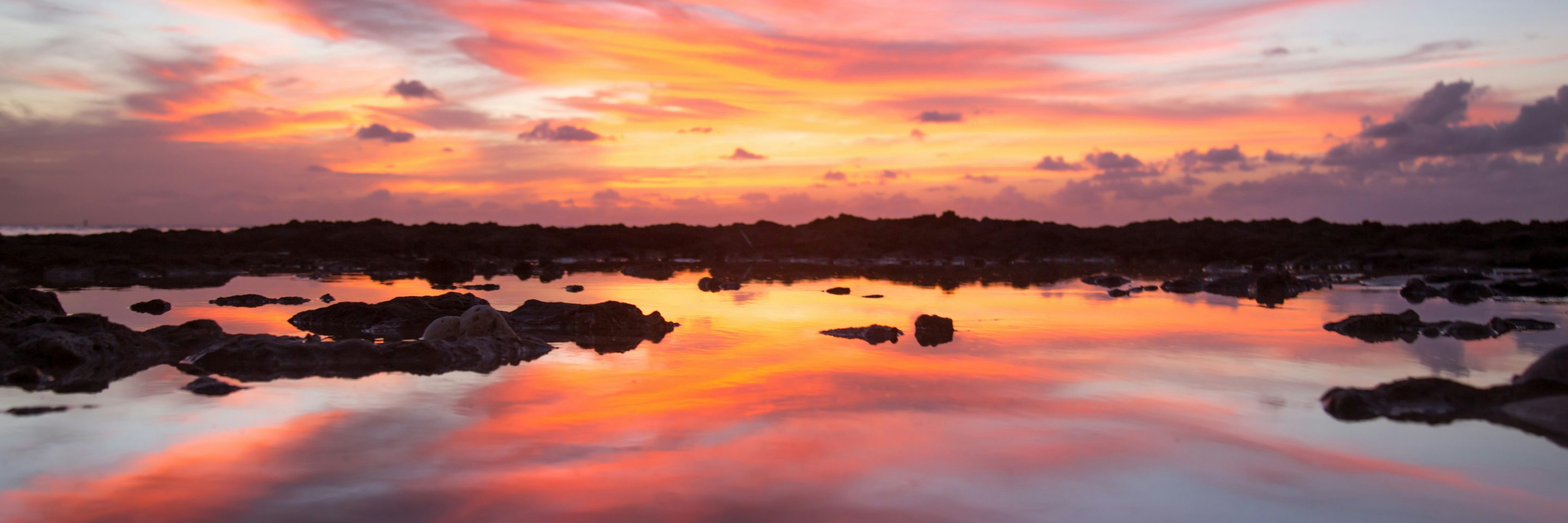 William duggan Pu QK6 Fng F8 unsplash