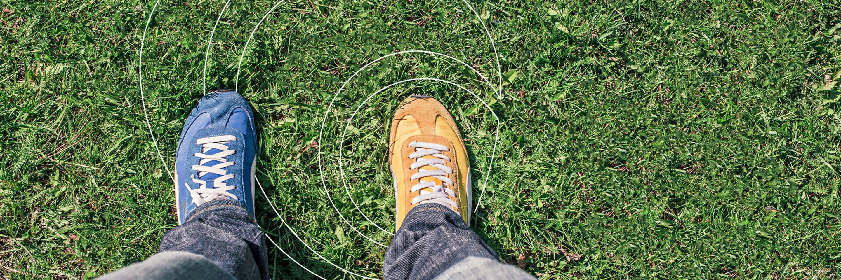Pexels gratisography 539