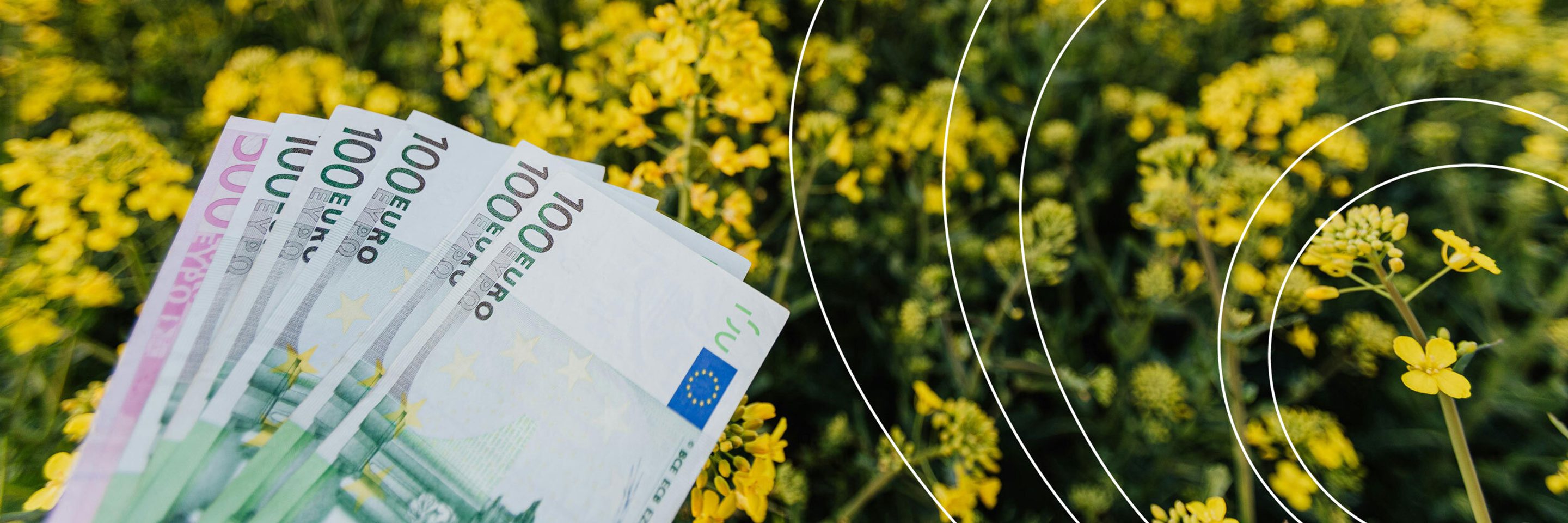 Pexels karolina grabowska 4495904