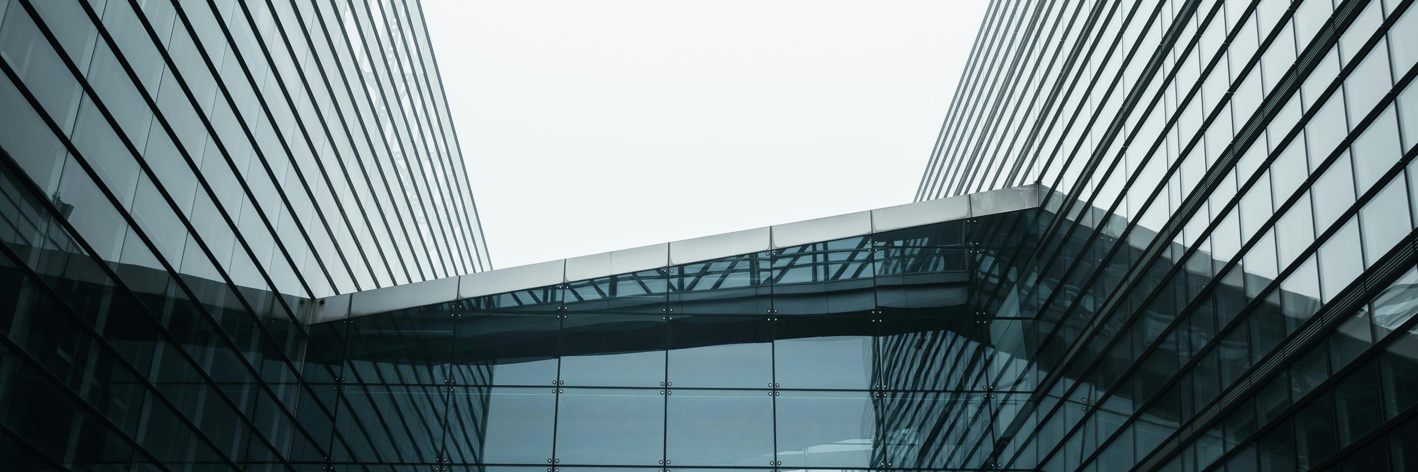 Pexels ryank 20875080