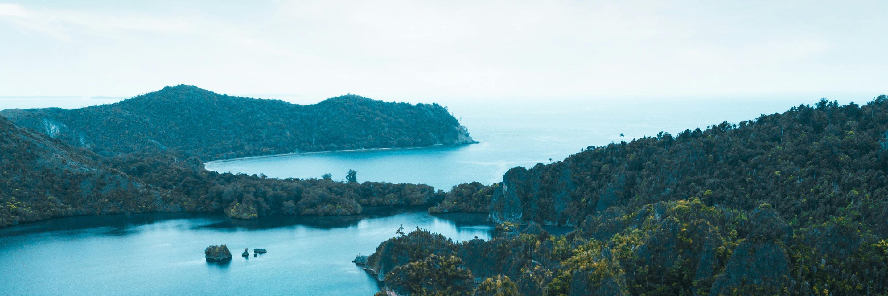 Pexels stijn dijkstra 1306815 2583852