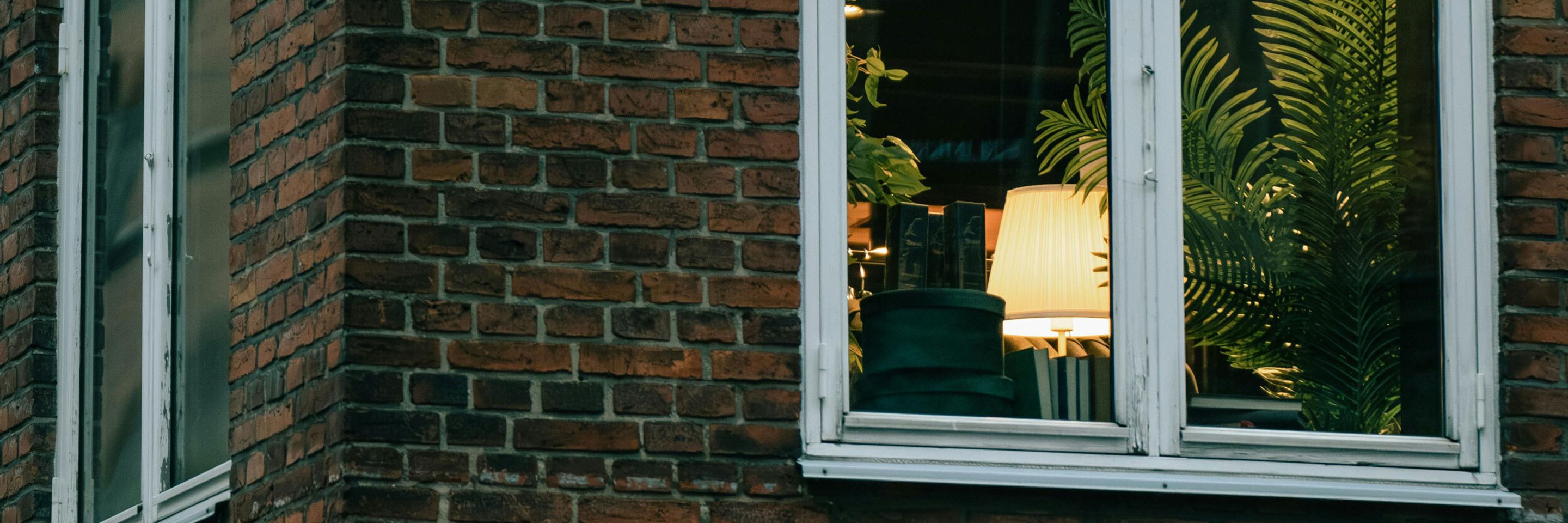 Pexels ahmetyuksek 20270497 kvadrat
