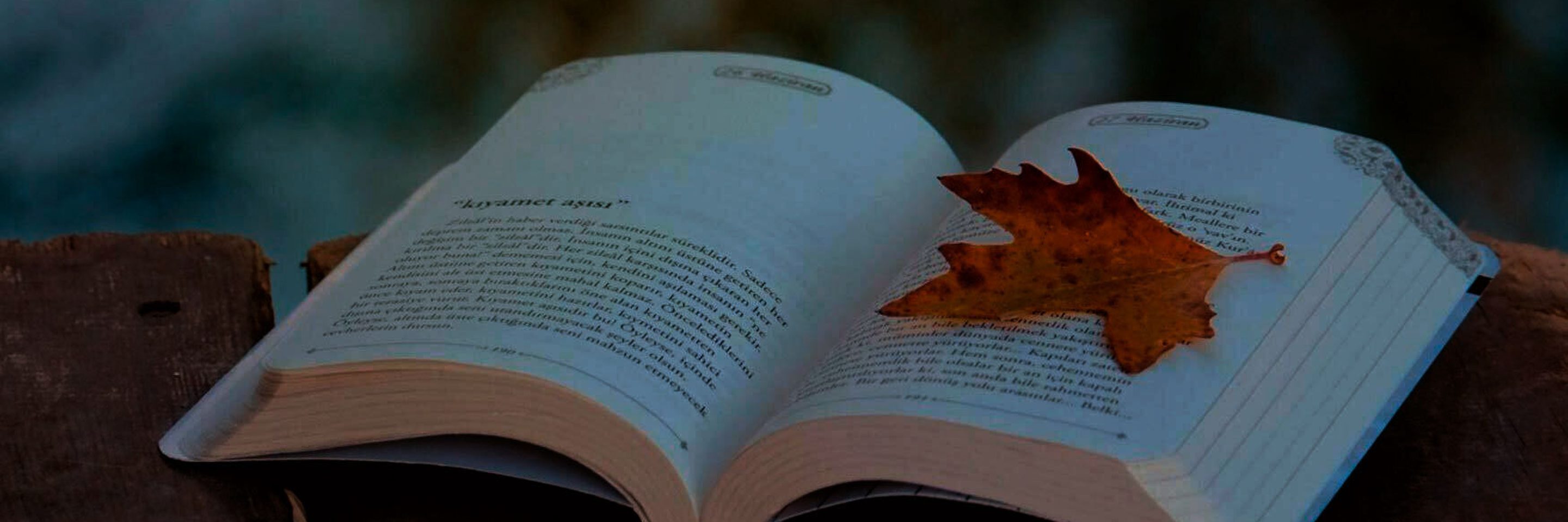 Pexels havvanur 2156235692 34797341 kvadrat