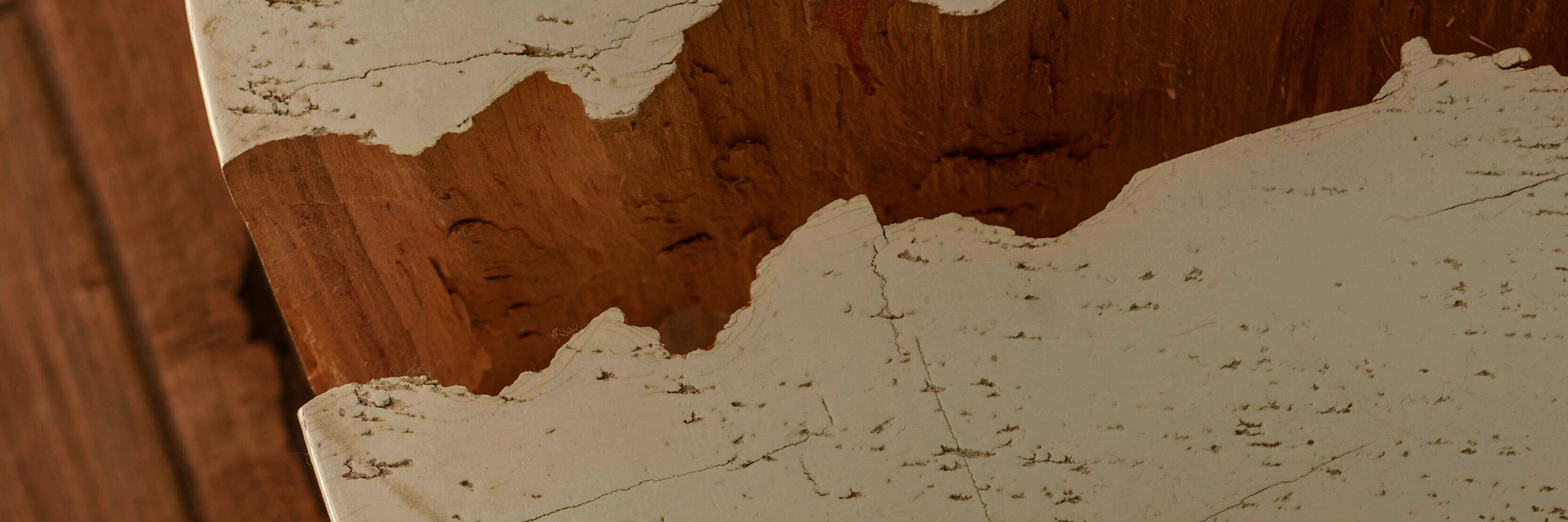 Pexels heyho 7746628 kvadrat