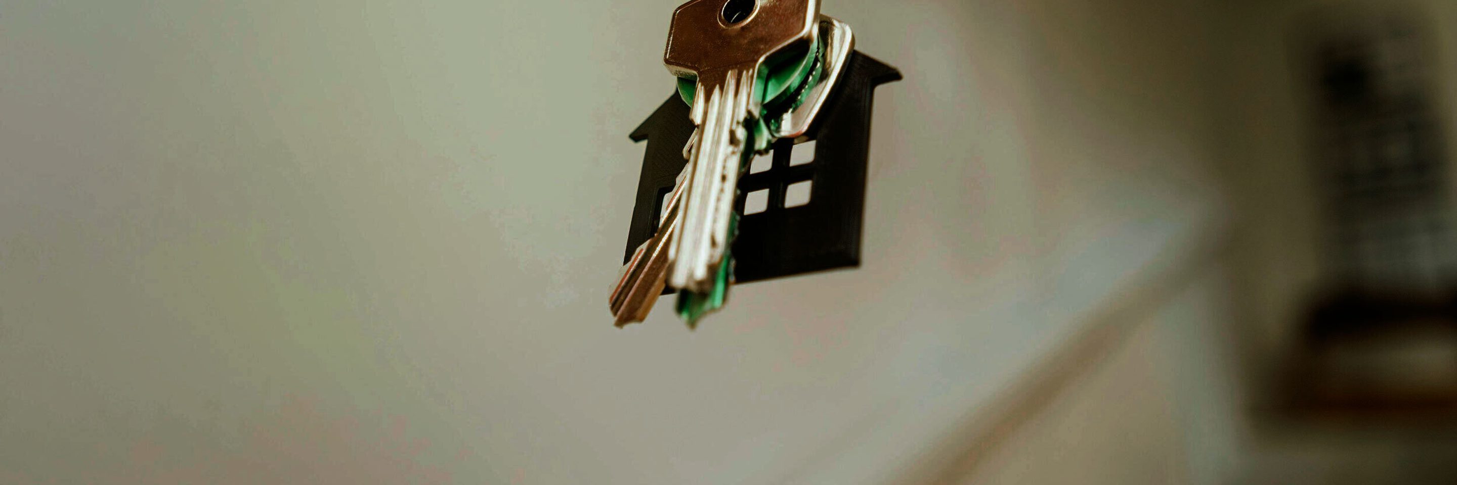 Pexels jakubzerdzicki 29998475 kvadrat