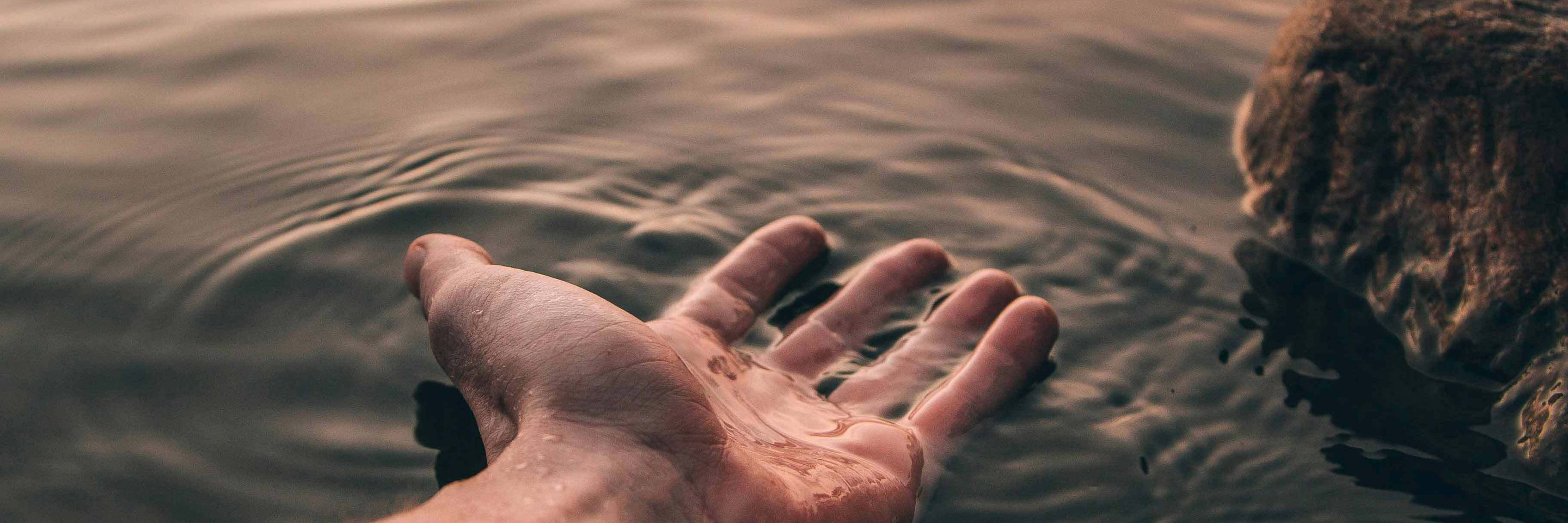 Pexels josh hild 1270765 2422560