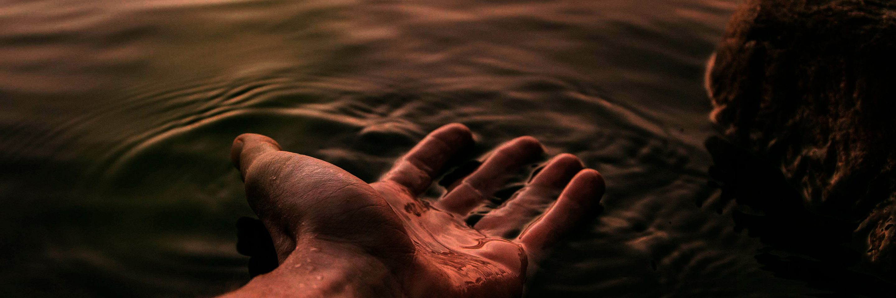 Pexels josh hild 1270765 2422560