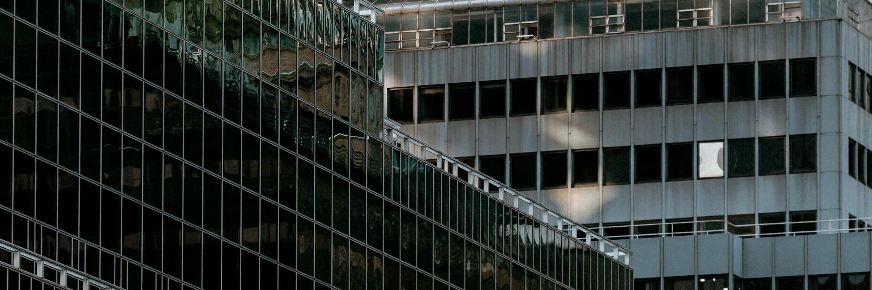 Pexels laura tancredi 7078632