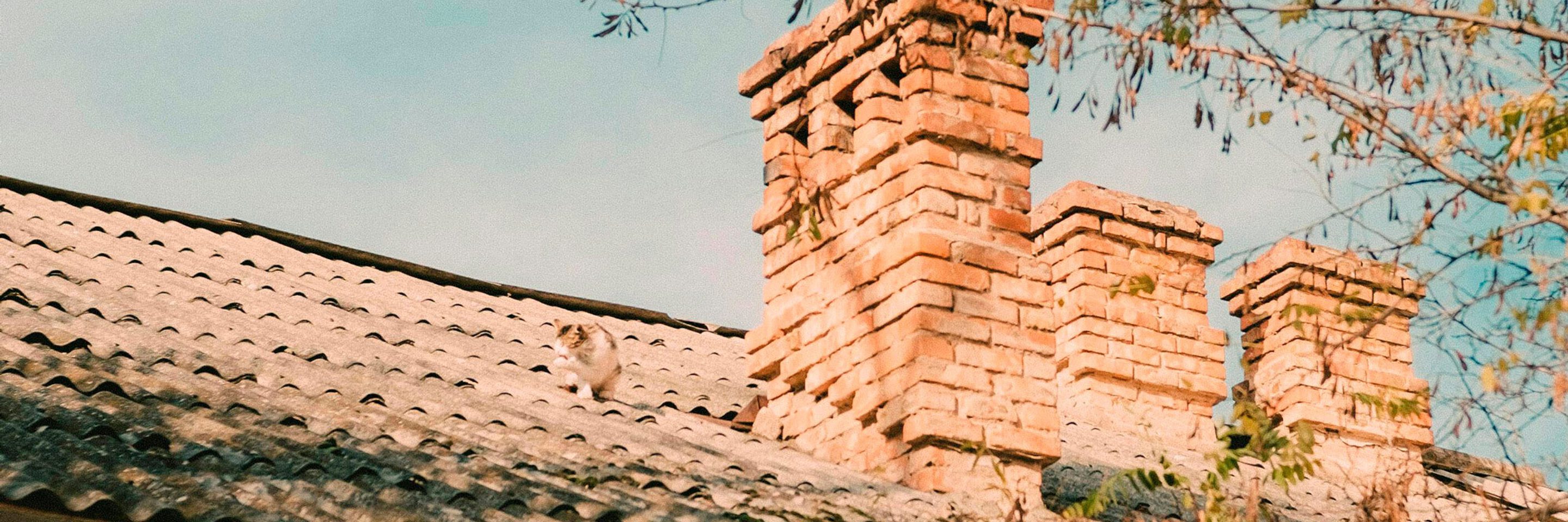 Pexels mortywalker 10150335