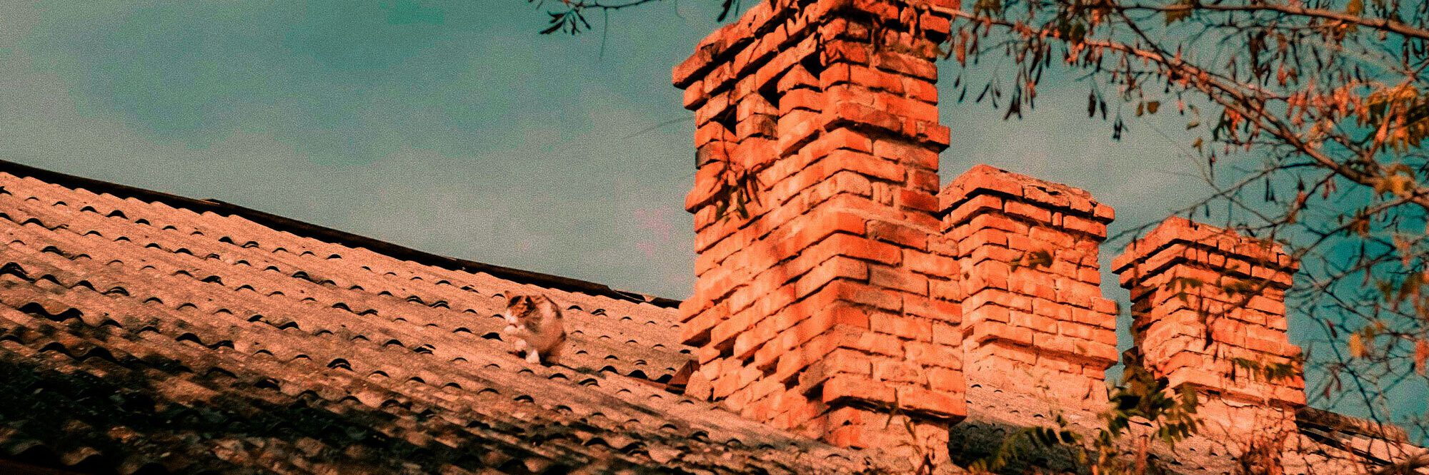 Pexels mortywalker 10150335