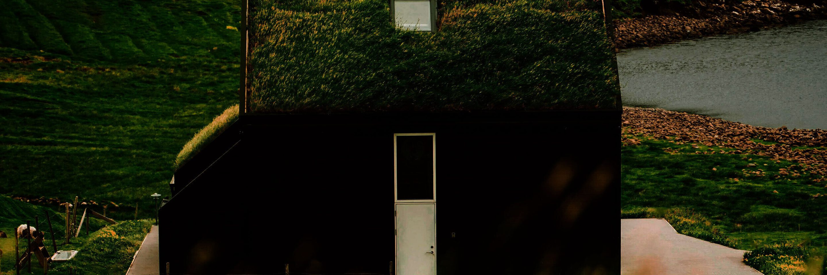 Pexels stijn dijkstra 1306815 13008672 kvadrat