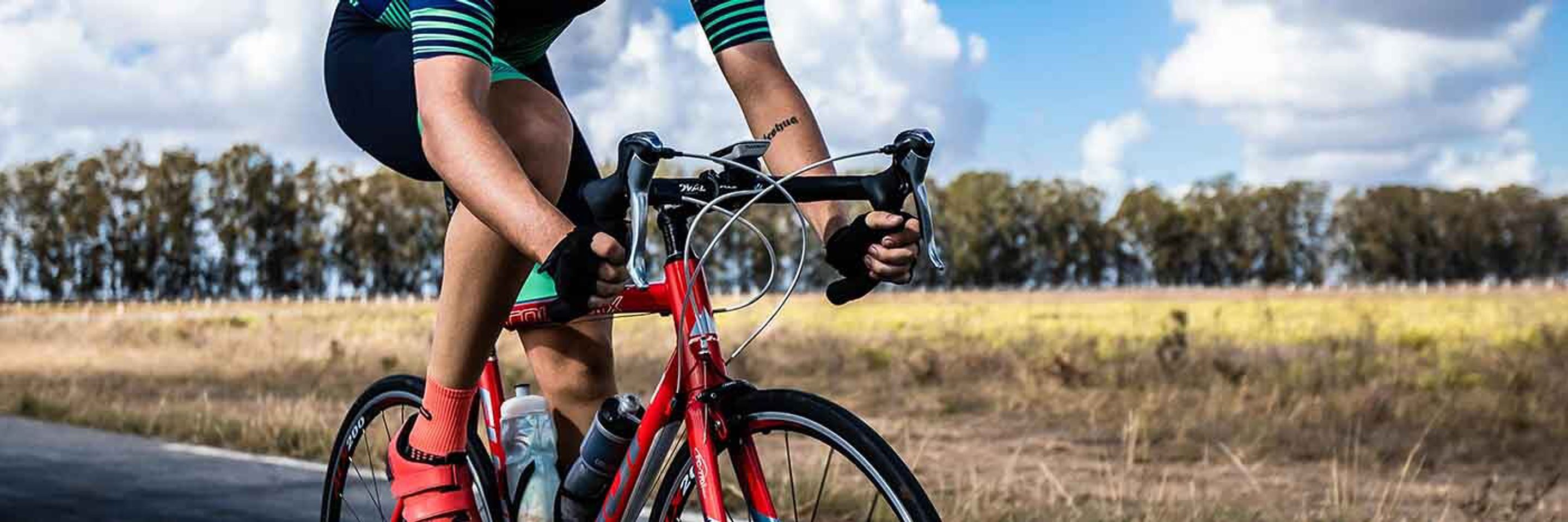 Pexels alexandre saraiva carniato 5970279