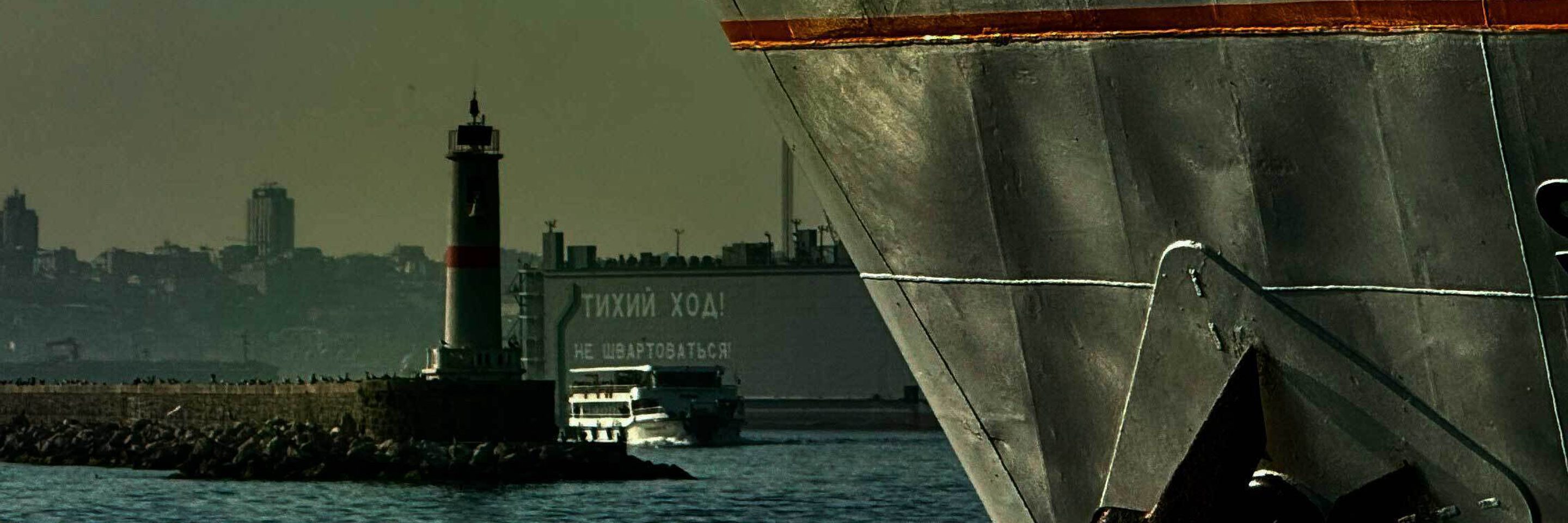 Pexels bilal findikci 282935754 32123551 kvadrat