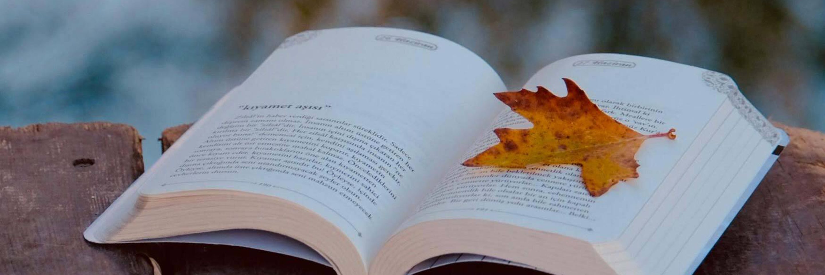 Pexels havvanur 2156235692 34797341 kvadrat