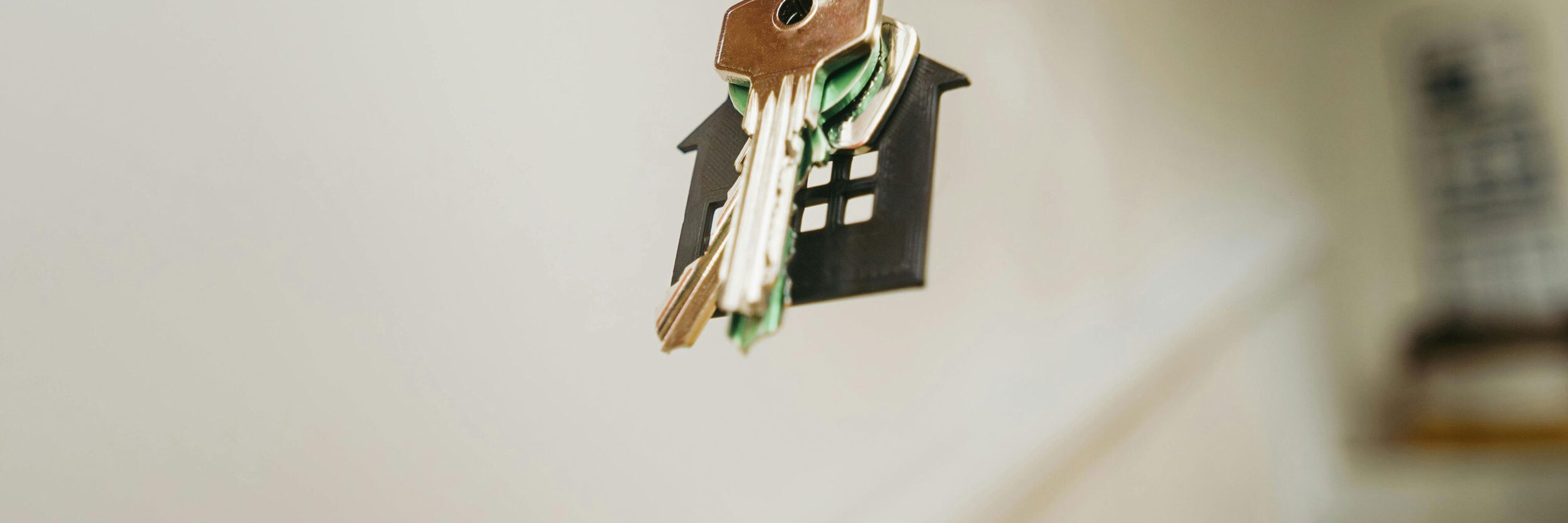 Pexels jakubzerdzicki 29998475 kvadrat