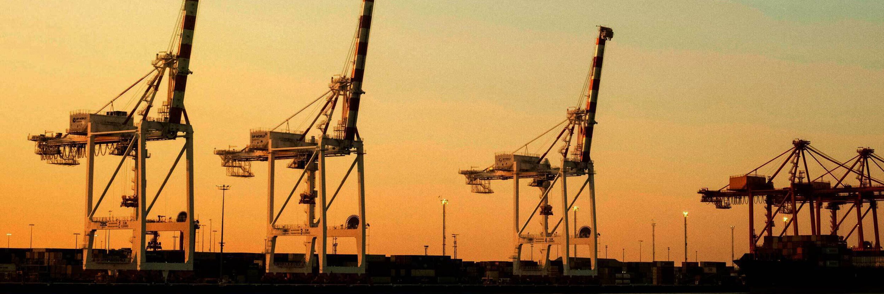 Pexels nxbid0 32079451 kvadrat