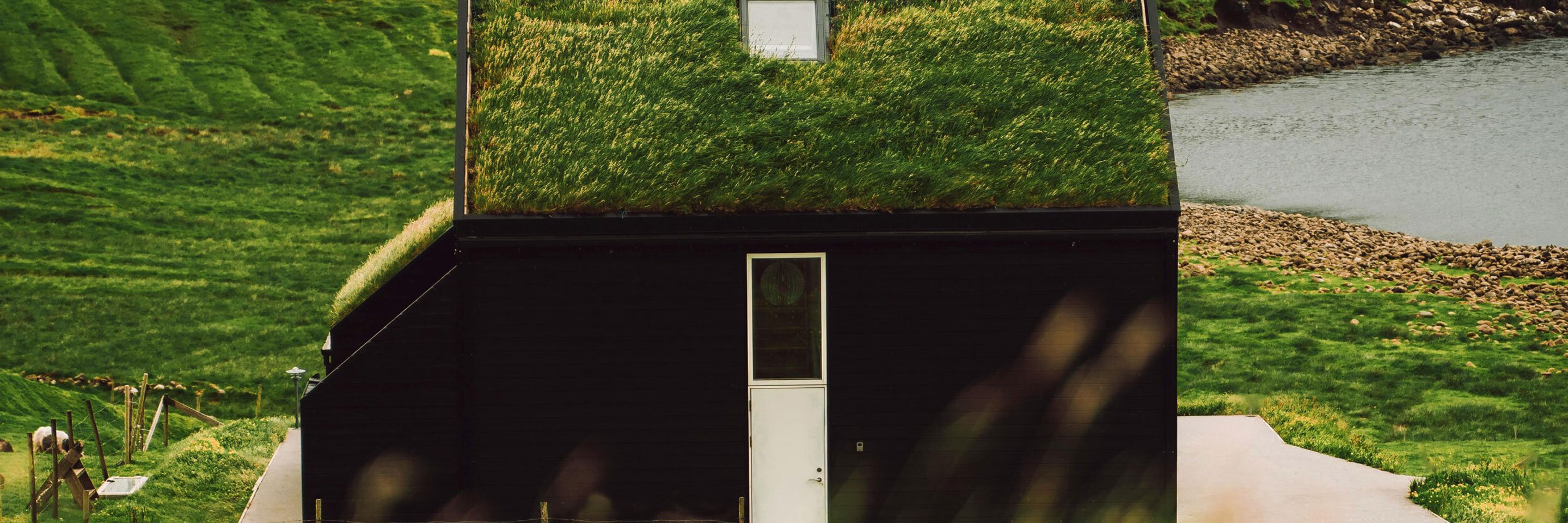 Pexels stijn dijkstra 1306815 13008672 kvadrat