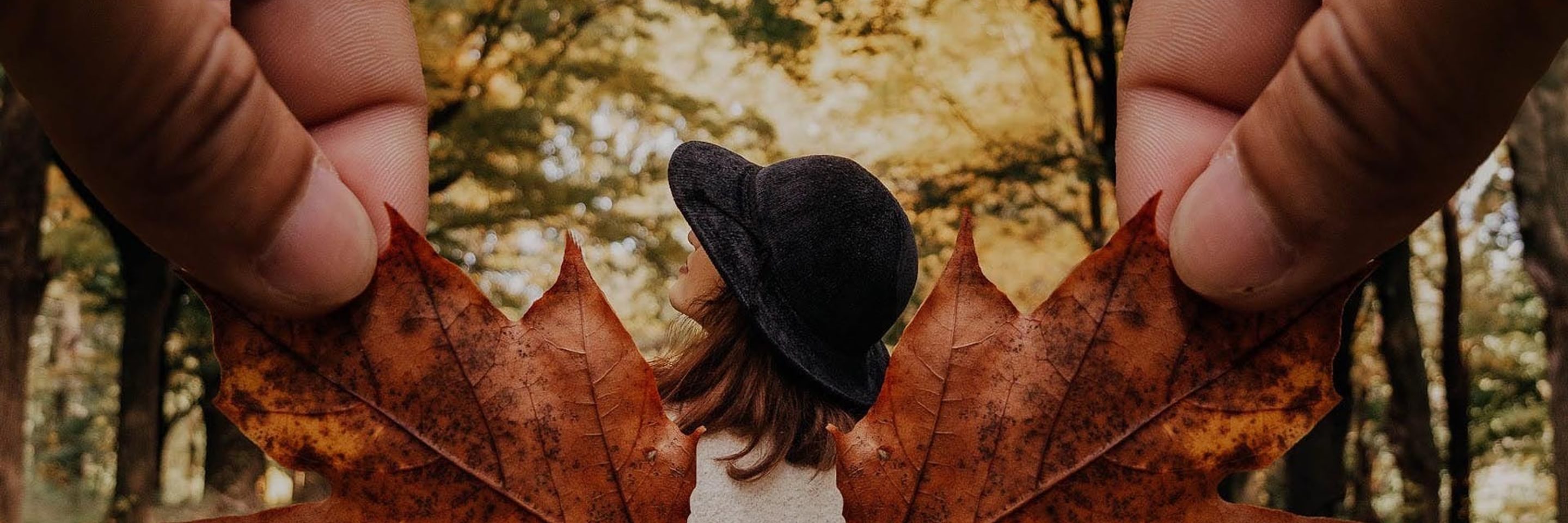 Pexels alana sousa 3284344