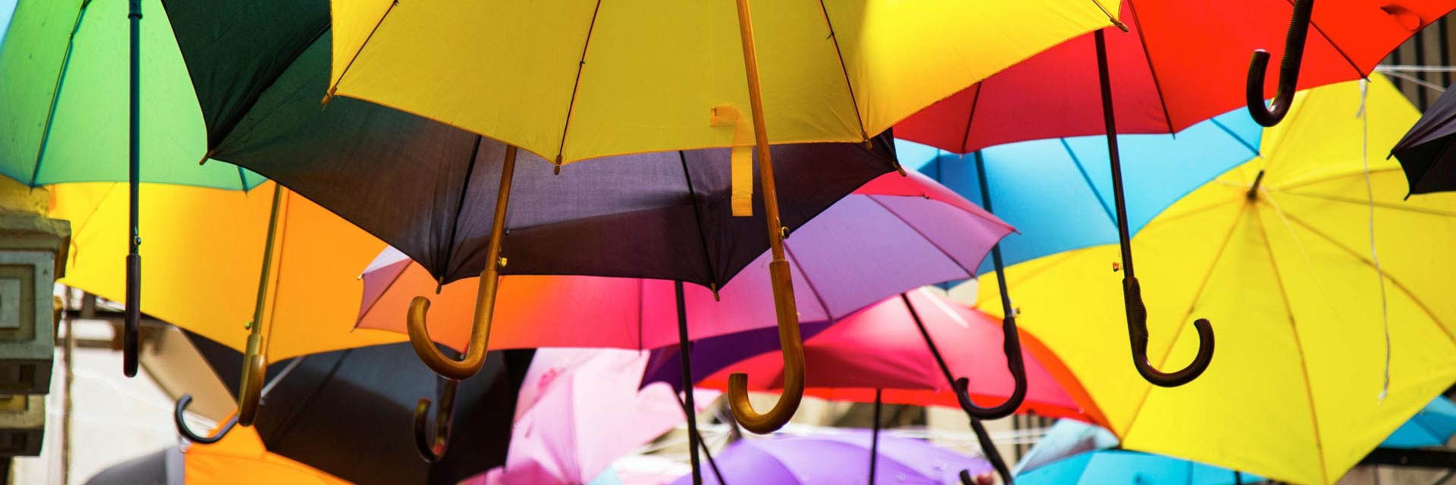 Pexels engin akyurt 1451040