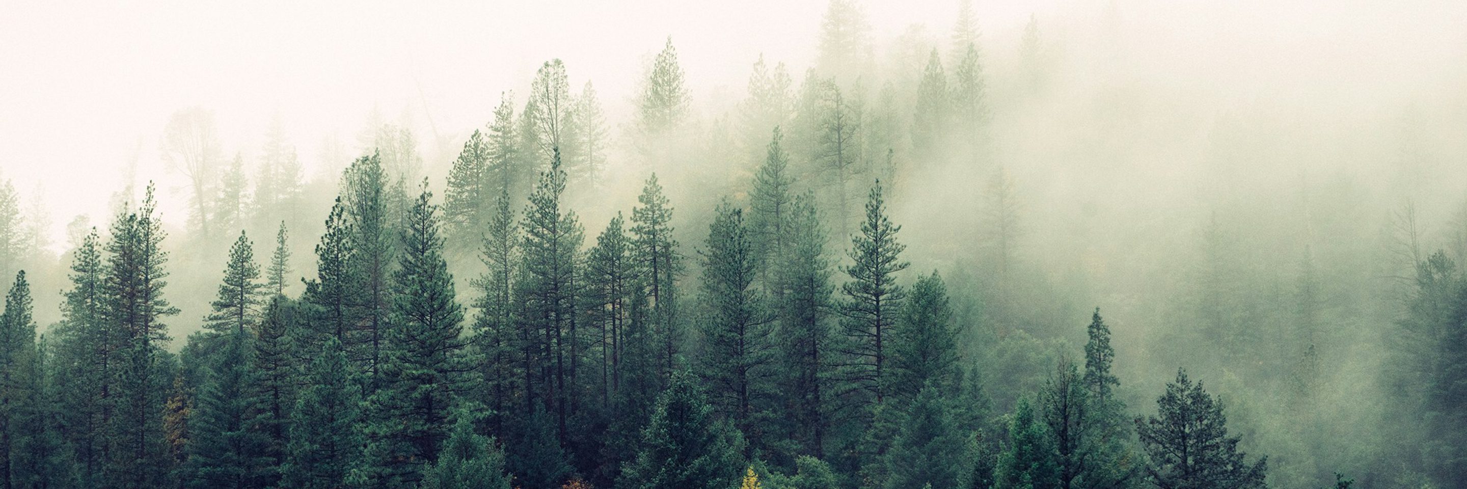 Jay mantri T Fyi0 Q Ox08c unsplash