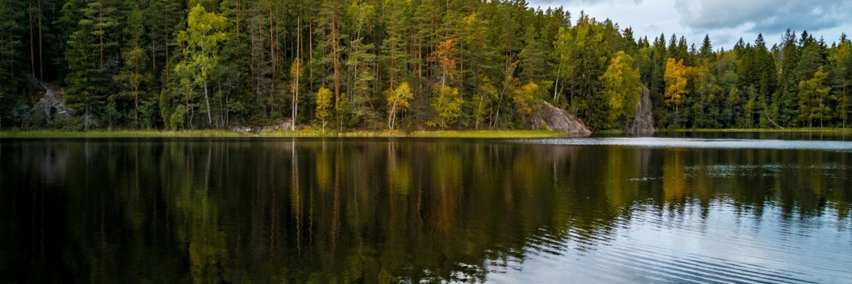 Narahari k r ucrwp W Lz BAE unsplash