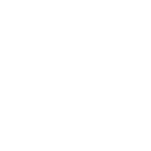 X Icon White