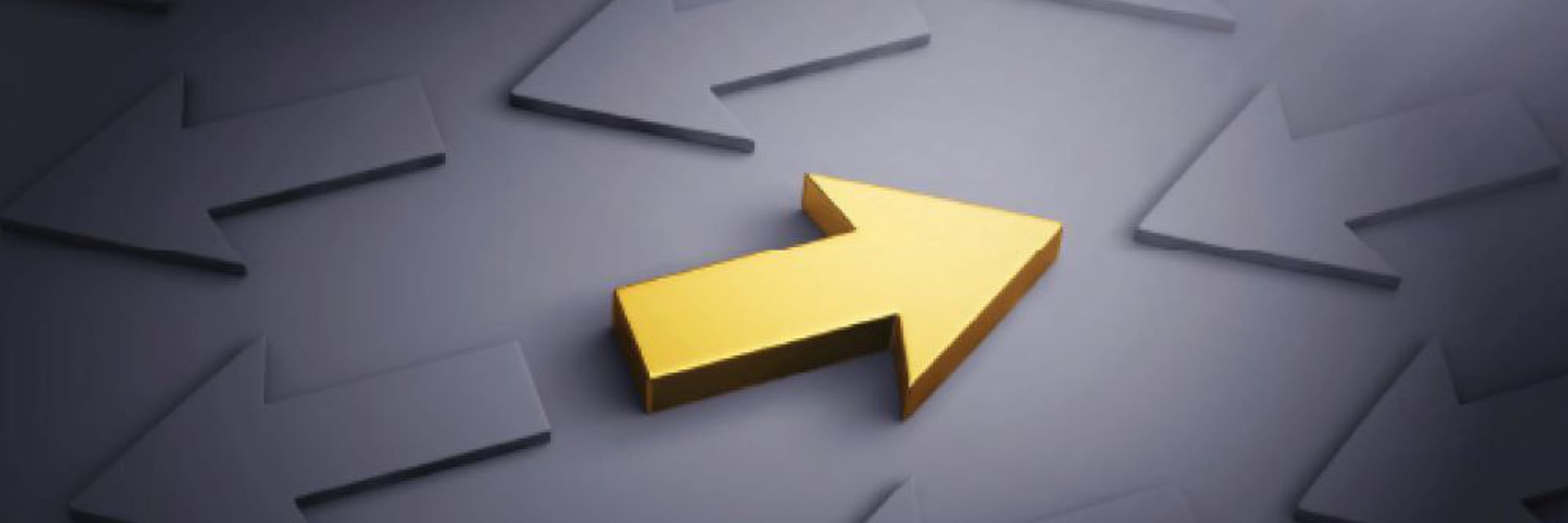 2024 401k Audits Procedures