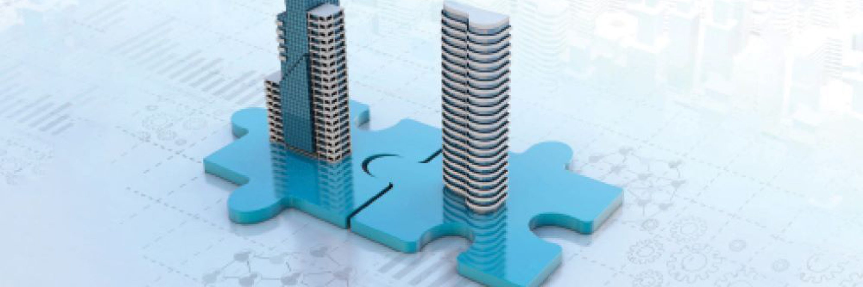 2024 Establishing a JV in India