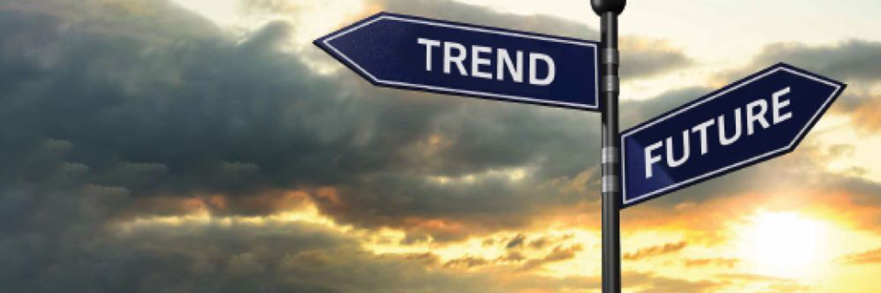 2024 Reverse Flipping of Start Ups