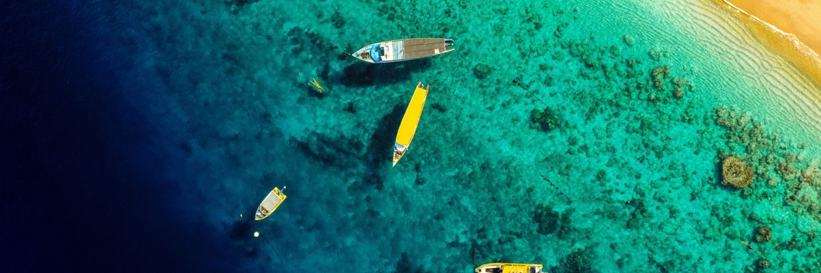 Tandya rachmat w7 C3 Wqox us unsplash